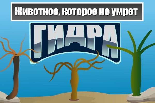 Мега зеркало телеграм