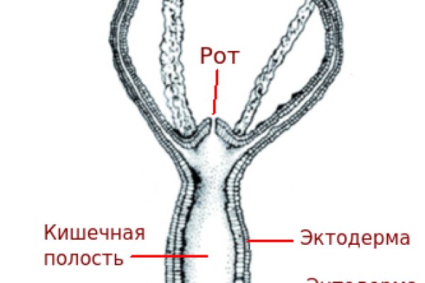 Mega через tor