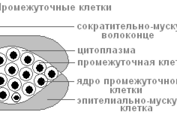 Сайт мега дарк нет