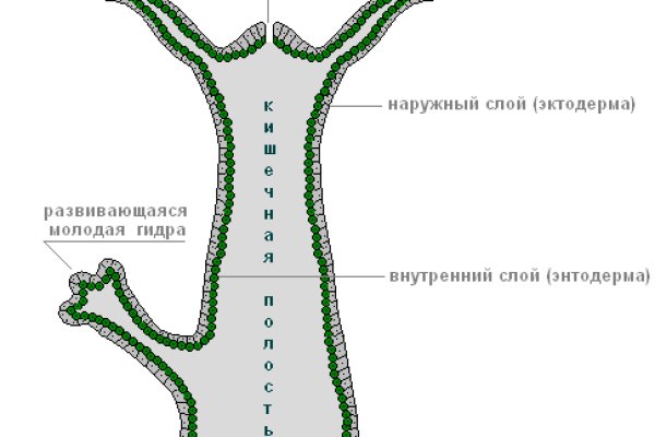 Тор мега рабочая ссылка